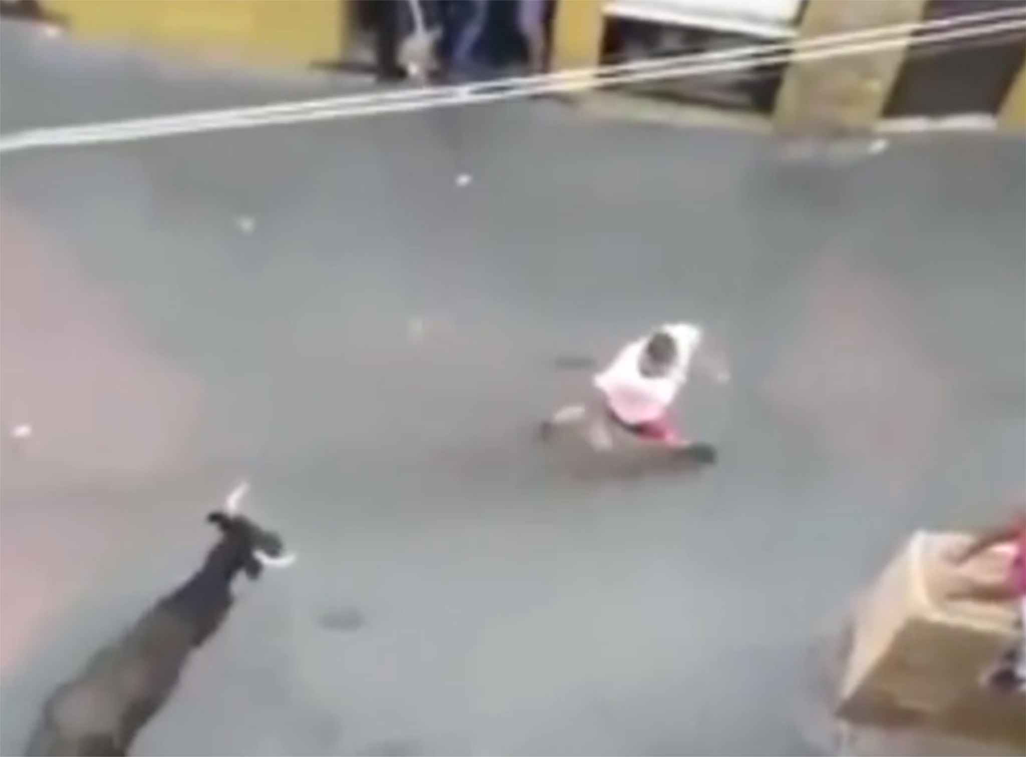 The bull heifer seconds before goring the 47-year-old woman