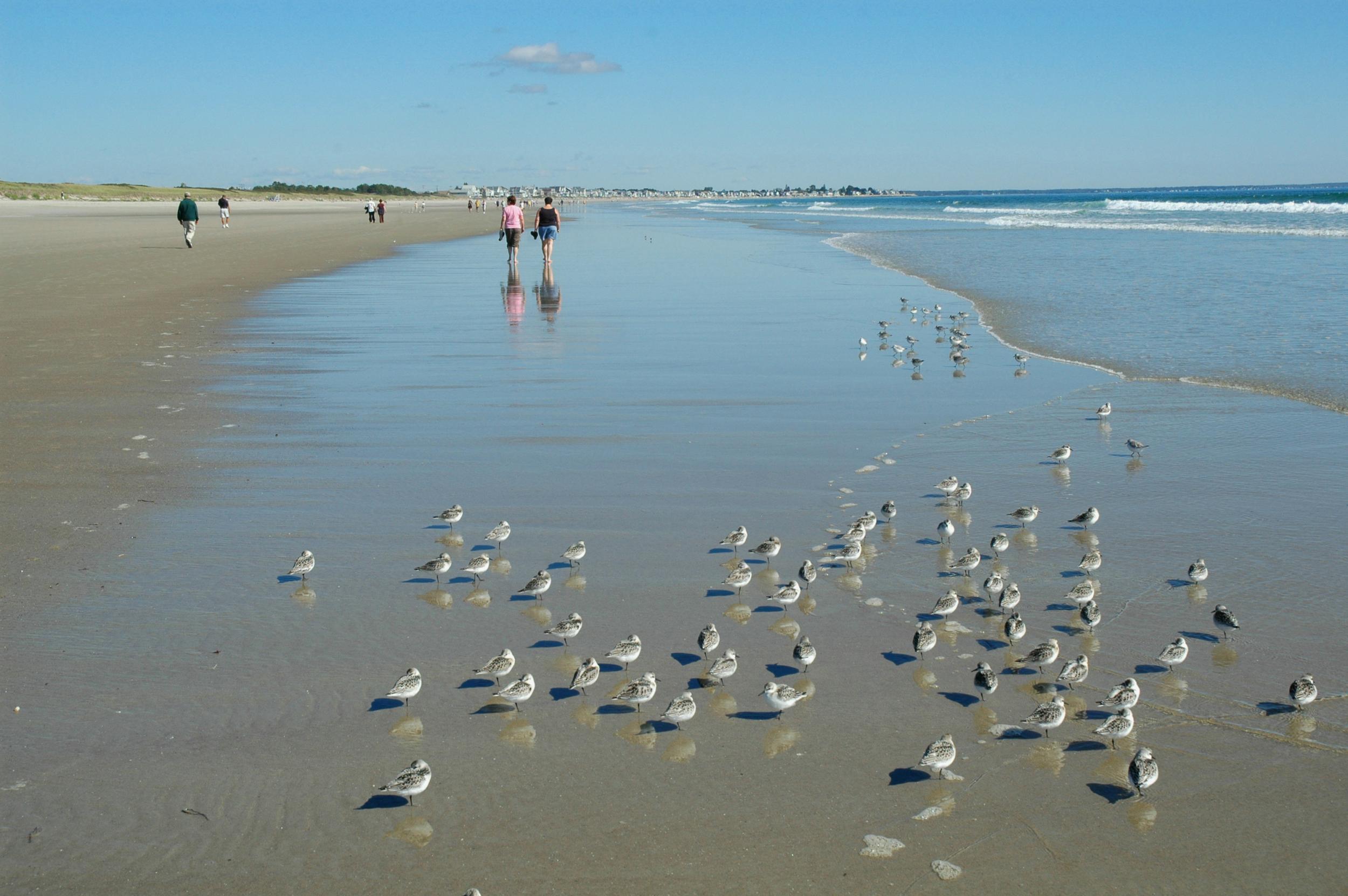 Ogunquit beach