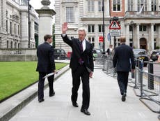 Parliament may be able to block full Brexit, admits David Davis