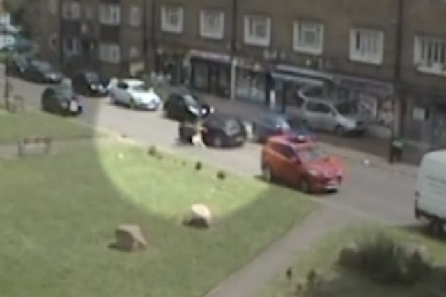 Footage released by police of the theft