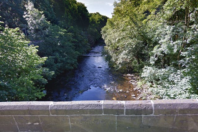 <p>Image shows River Etherow that passes through South Yorkshire, Derbyshire and Greater Manchester </p>