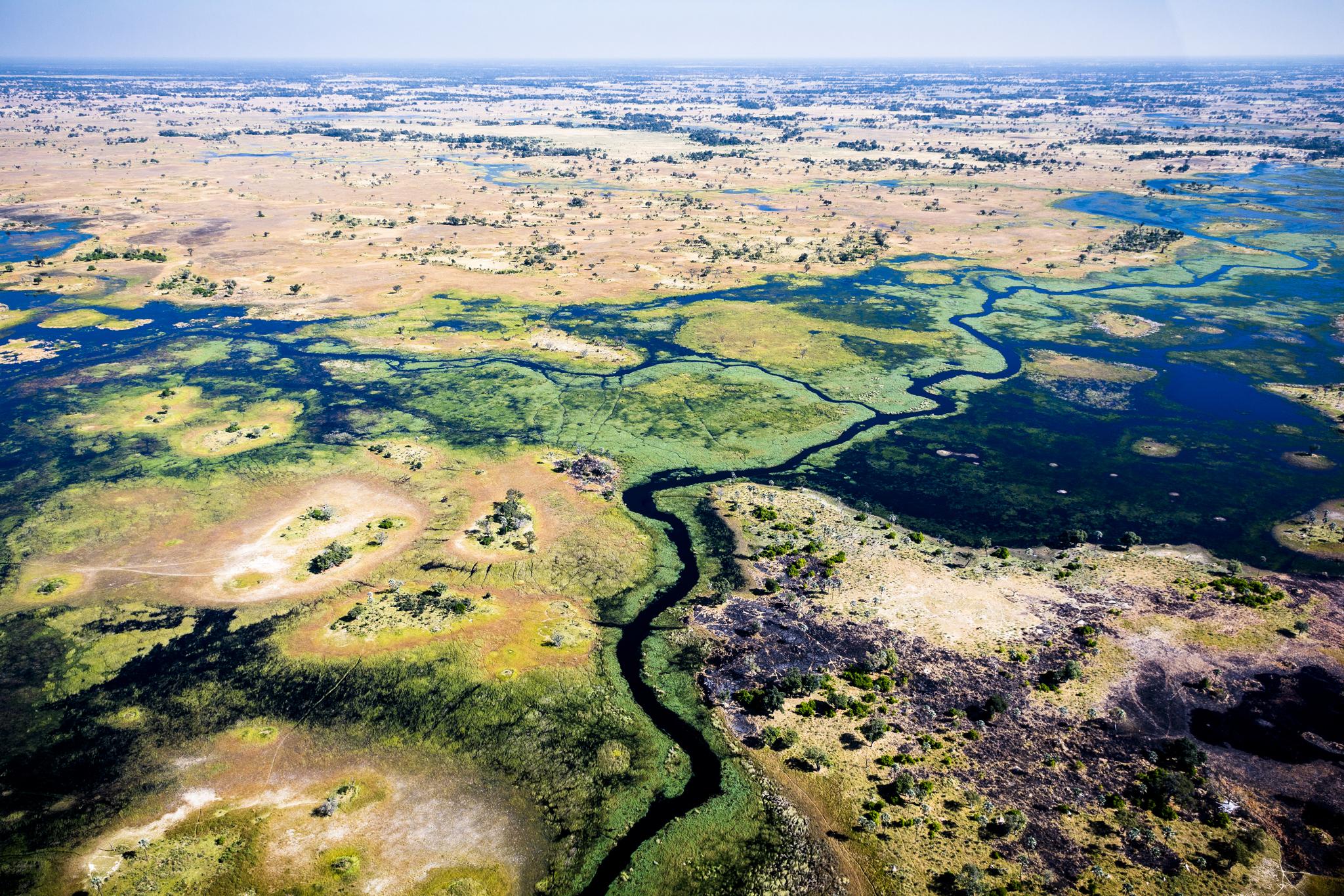 The Okovango Delta