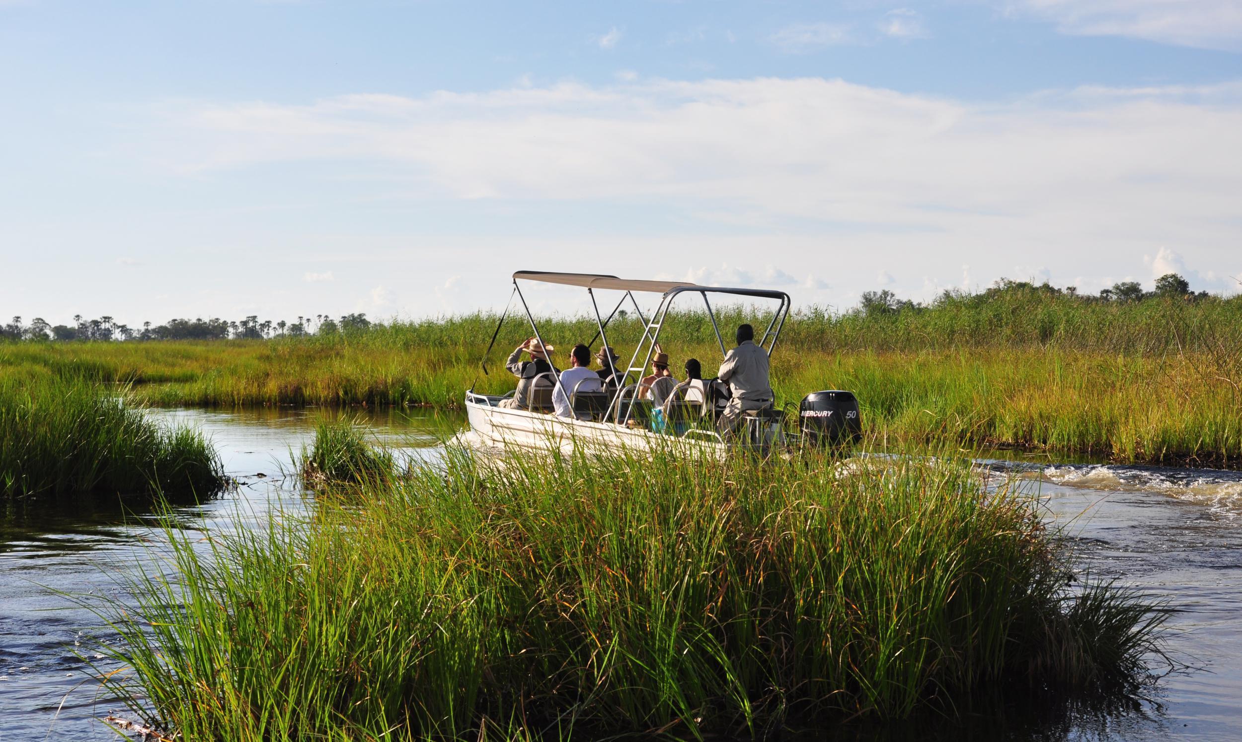 A boat trip offers the chance to spot more wildlife