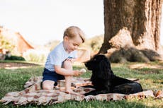 Prince George third birthday: Photo prompts warning from RSPCA