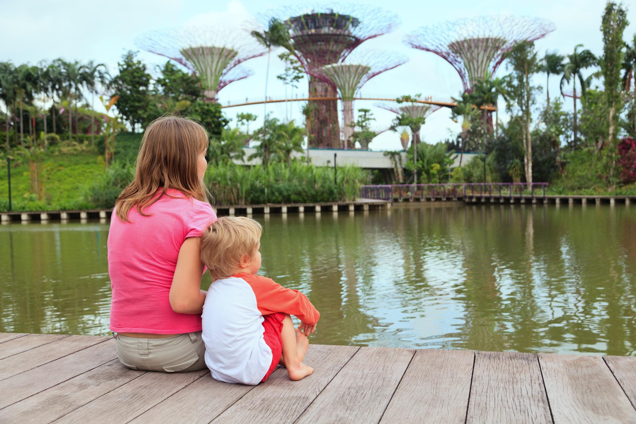 The Gardens by the Bay have impressively huge "supertrees"