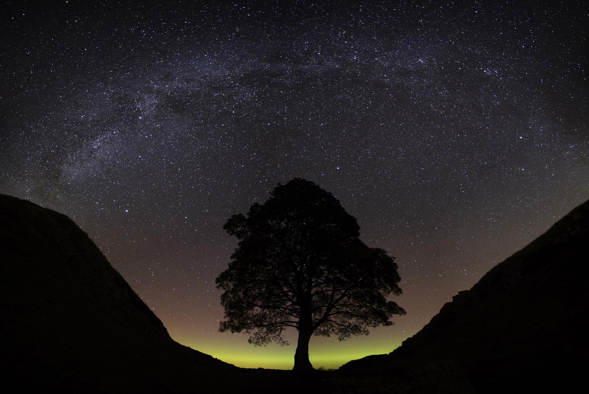 The Milky Way over Sycamore Gap, Northumberland International Dark Sky Park
