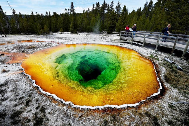 Tourists view the Morning Glory hot spring in the Upper Geyser Basin of Yellowstone National Park in Wyoming, on May 14, 2016. The distinctive colors of the hot spring is due to bacteria which survive in the hot water although its vivid color has changed from its original blue to yellow and green after an accumulation of coins and debris thrown by tourists