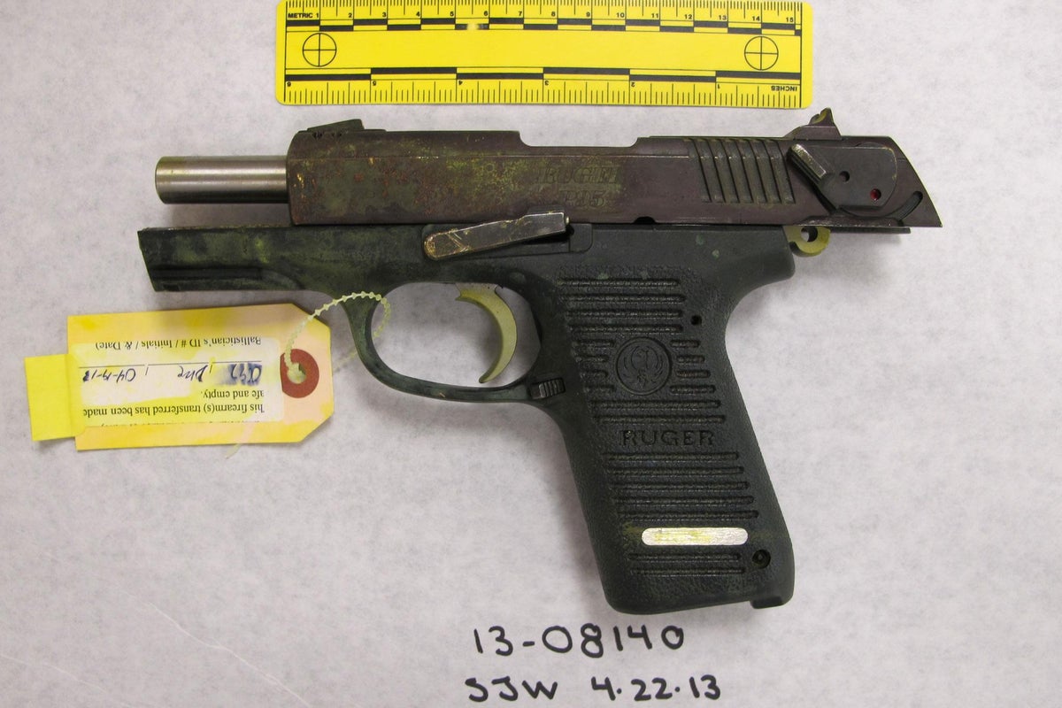 Man receives 6 month prison sentence for possession of gun used by ...