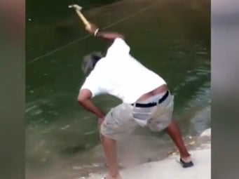 A witness films Terry Wayne Washington hitting a turtle with a hammer in Austin, Texas (Fox 7 News )