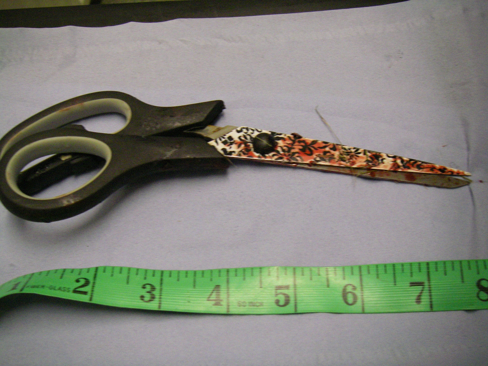 The pair of scissors used by Lampe to behead her pets