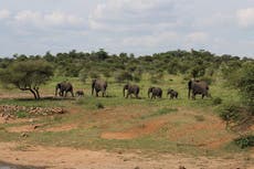 Giants Club helps lock up Ugandan poachers