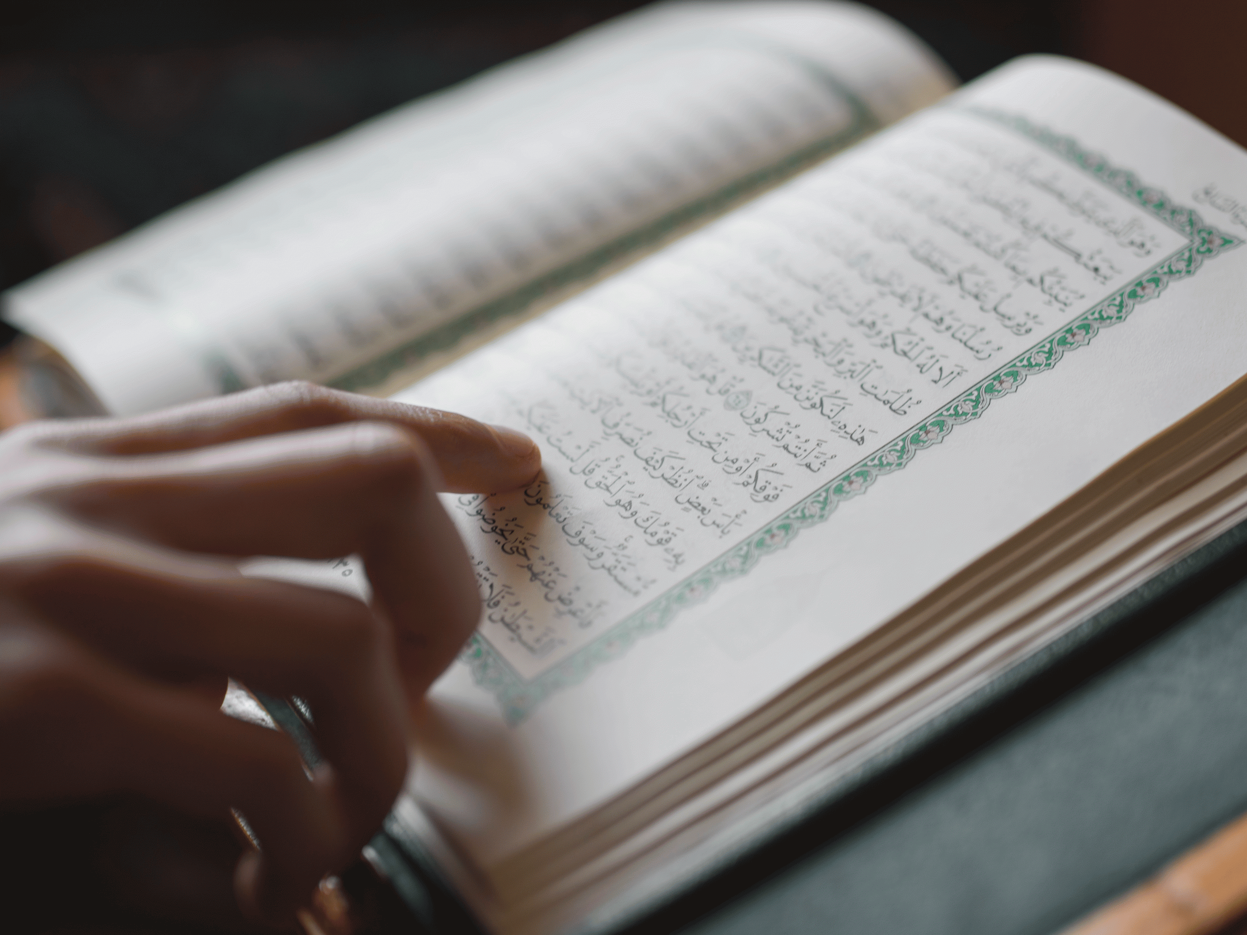 Danish man who videoed himself burning the Quran  charged 