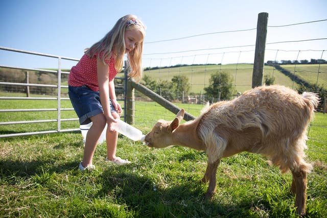 Nettlecombe Farm offers yoga, fishing, and the chance to get close to nature
