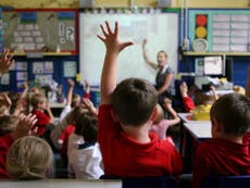 Latin should be taught in every state primary school, says leading academic