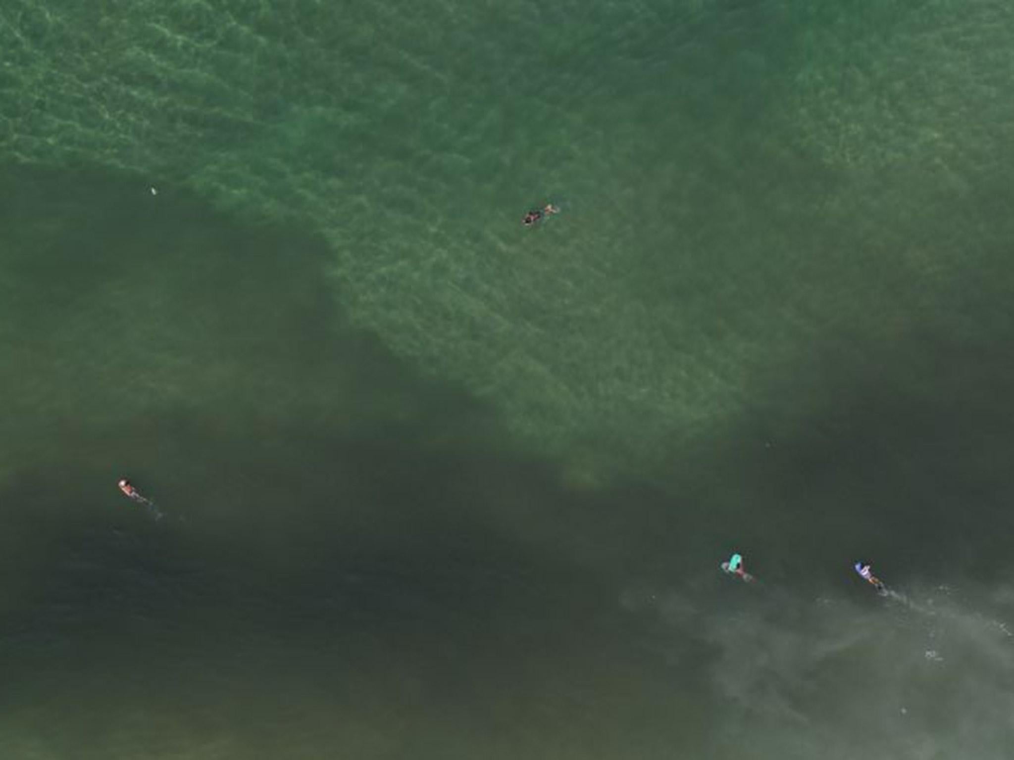 Surfers paddling into the polluted waters off Sao Conrado beach in Rio de Janeiro