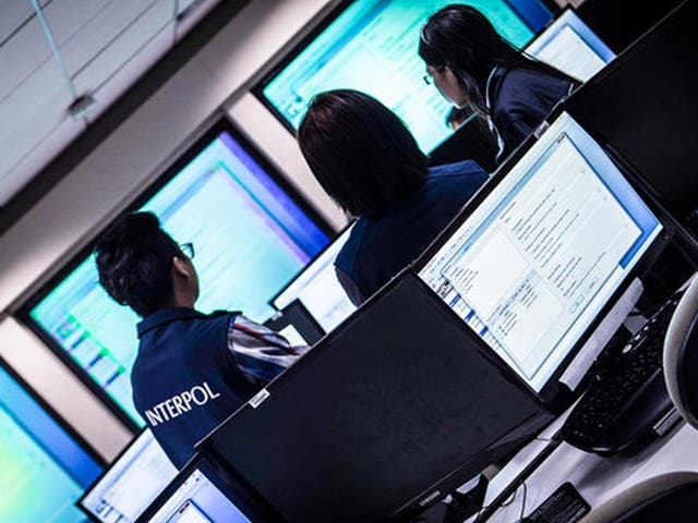 'Mike' was arrested after months of investigation by Interpol and Nigeria's anti-fraud agency