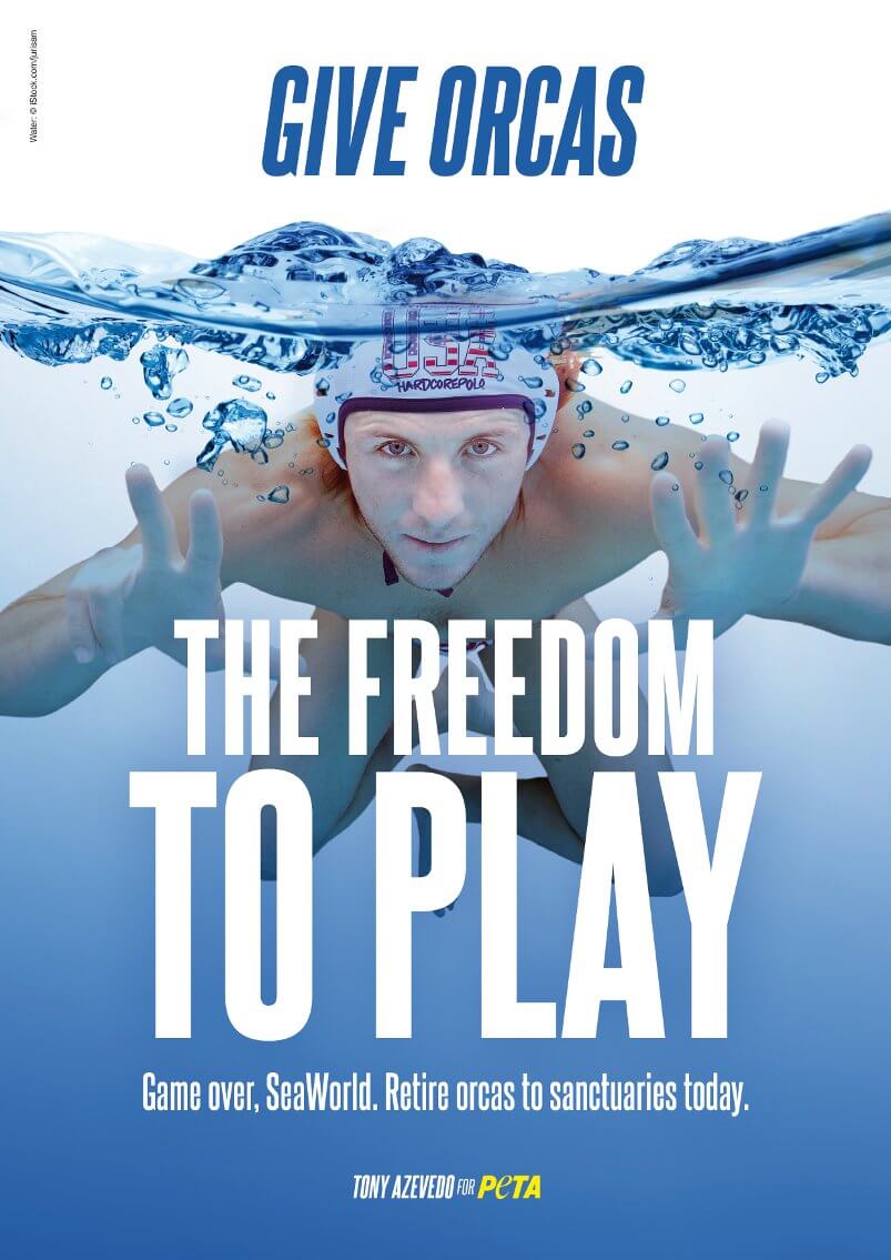 PETA's orca advert features USA water polo Olympian Tony Azevedo