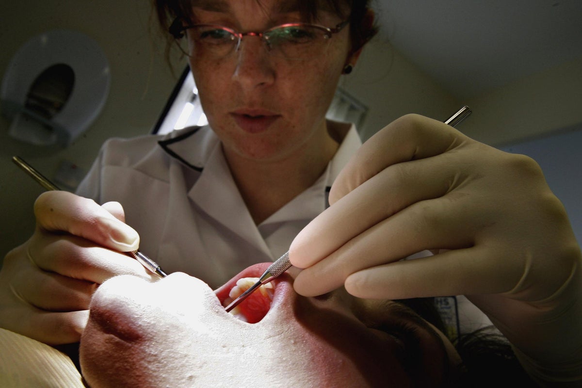 Damaged teeth can be regrown naturally using an Alzheimer's drug,  scientists discover | The Independent | The Independent