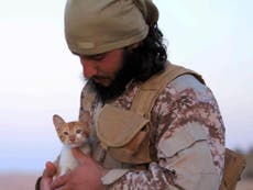 Isis using kittens and honey bees in bid to soften image