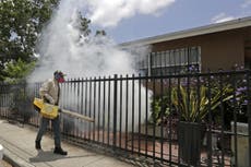 Read more

Authorities tackling Zika in Miami battle 'little ninja' mosquito