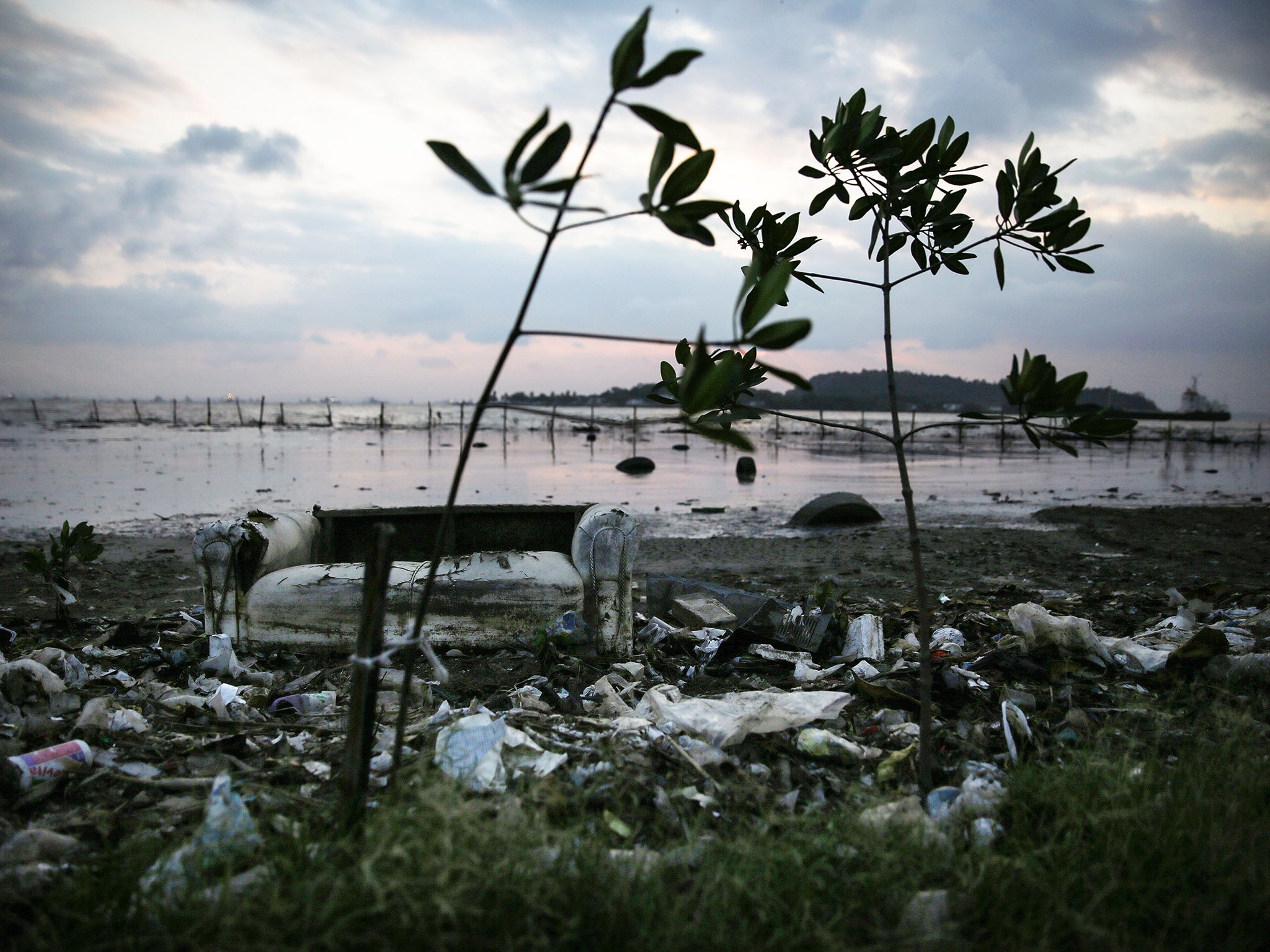 Pollution rests among pollution along the edge of Guanabara Bay, the venue for the Olympic sailing