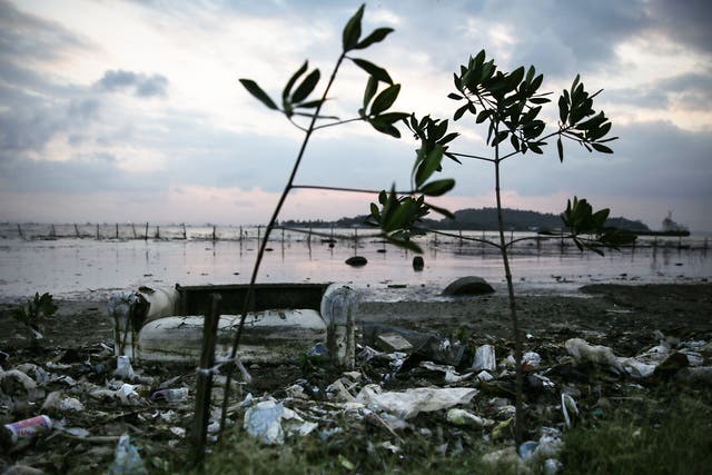 Pollution rests among pollution along the edge of Guanabara Bay, the venue for the Olympic sailing