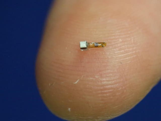 Tiny wireless implants could have many uses in monitoring and stimulating muscles, nerves and organs
