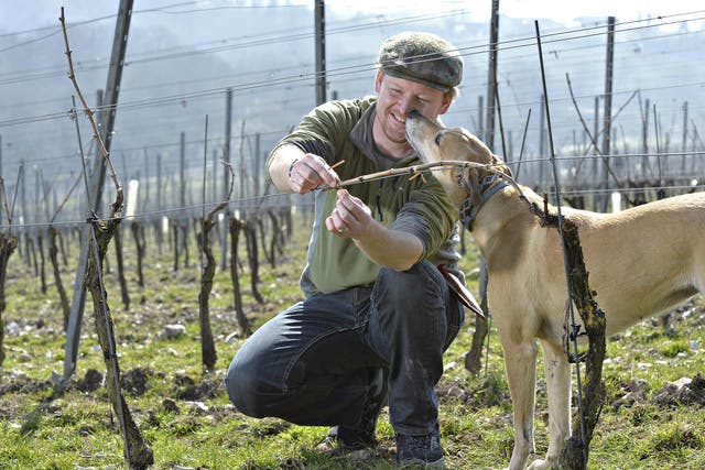 Dermot Sugrue, pictured with his dog Nooles is the winemaker for the Wiston Estate Winery, among others (Rob Scott)