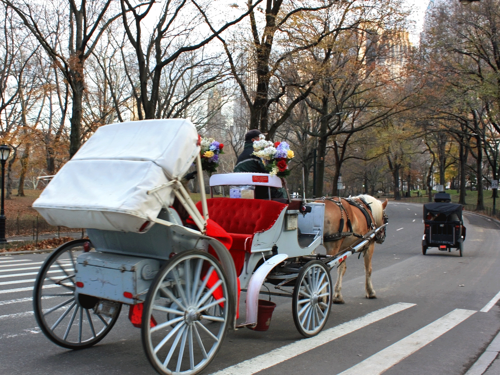 The man, believed to be in his 40s, was trying to unload a horse-drawn carriage similar to that shown above from a lorry