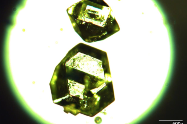Individual crystals of synthetic zhemchuzhnikovite