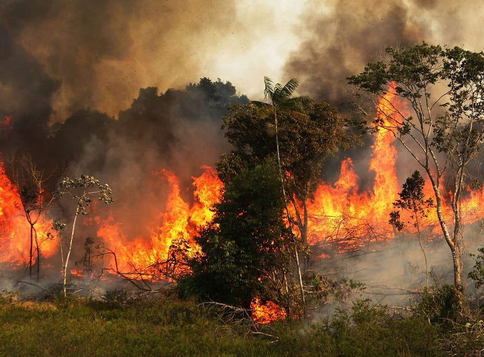 Deforestation in the Amazon in 2014