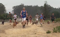 Read more

High School cross country team takes animal shelter dogs for run