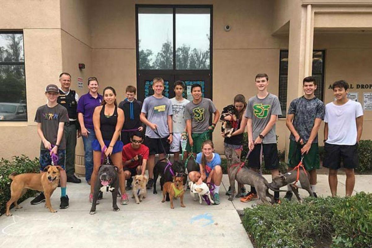 The runners collected the dogs from a local animal shelter