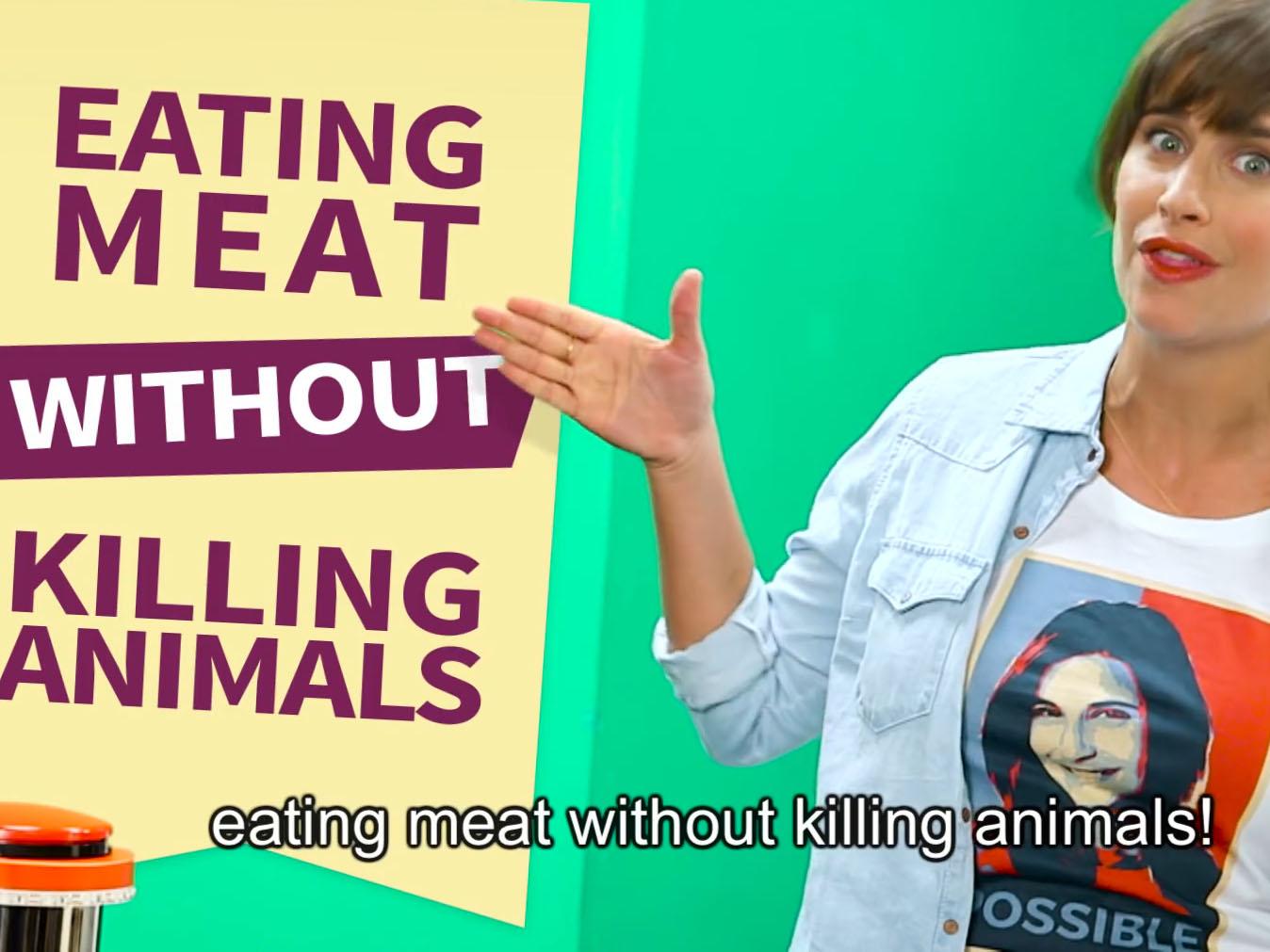 killing animal for food killing animal for food