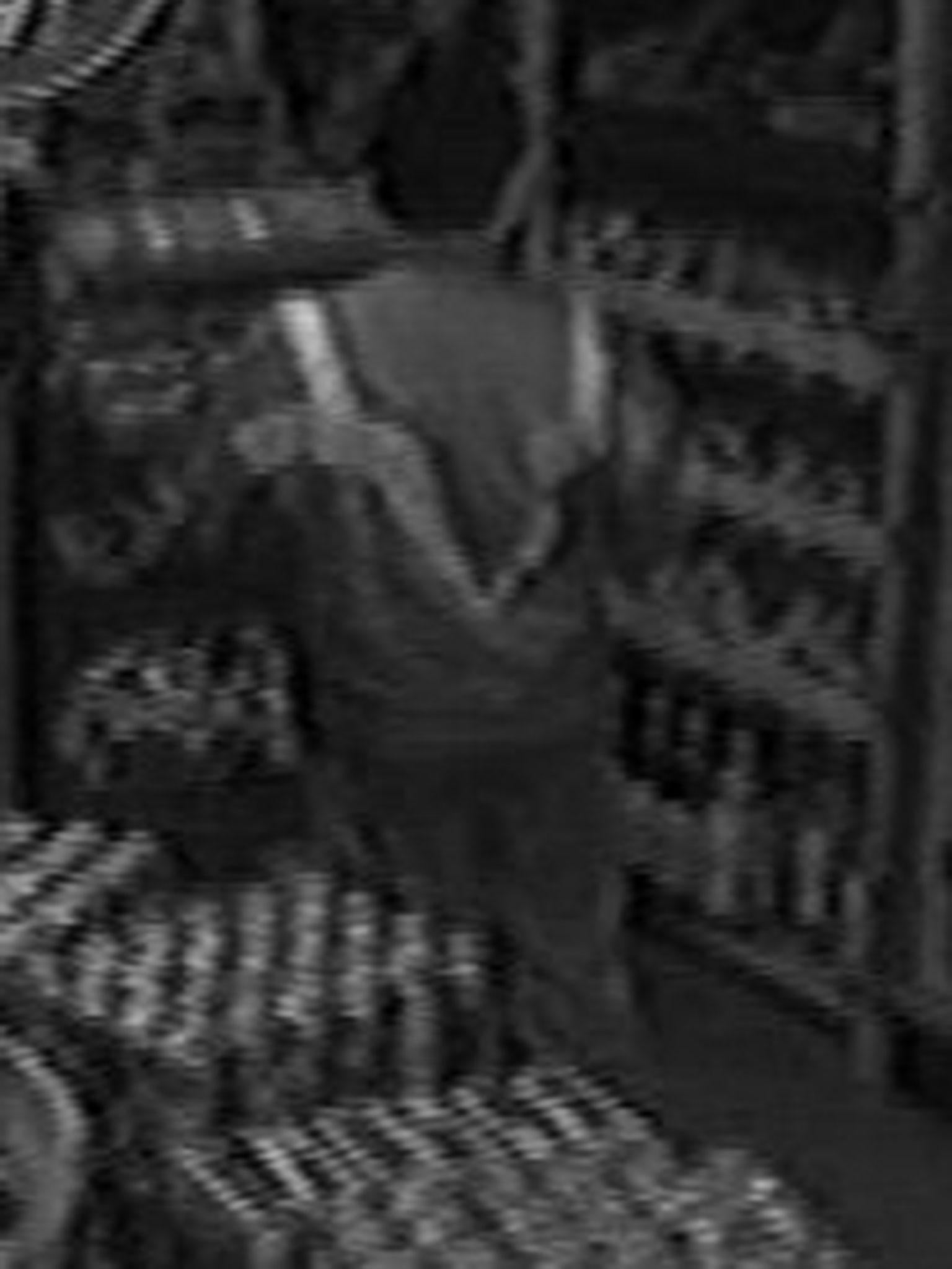The man was seen in an off-licence on Well Hall Road around two and a half hours before Stephen was attacked