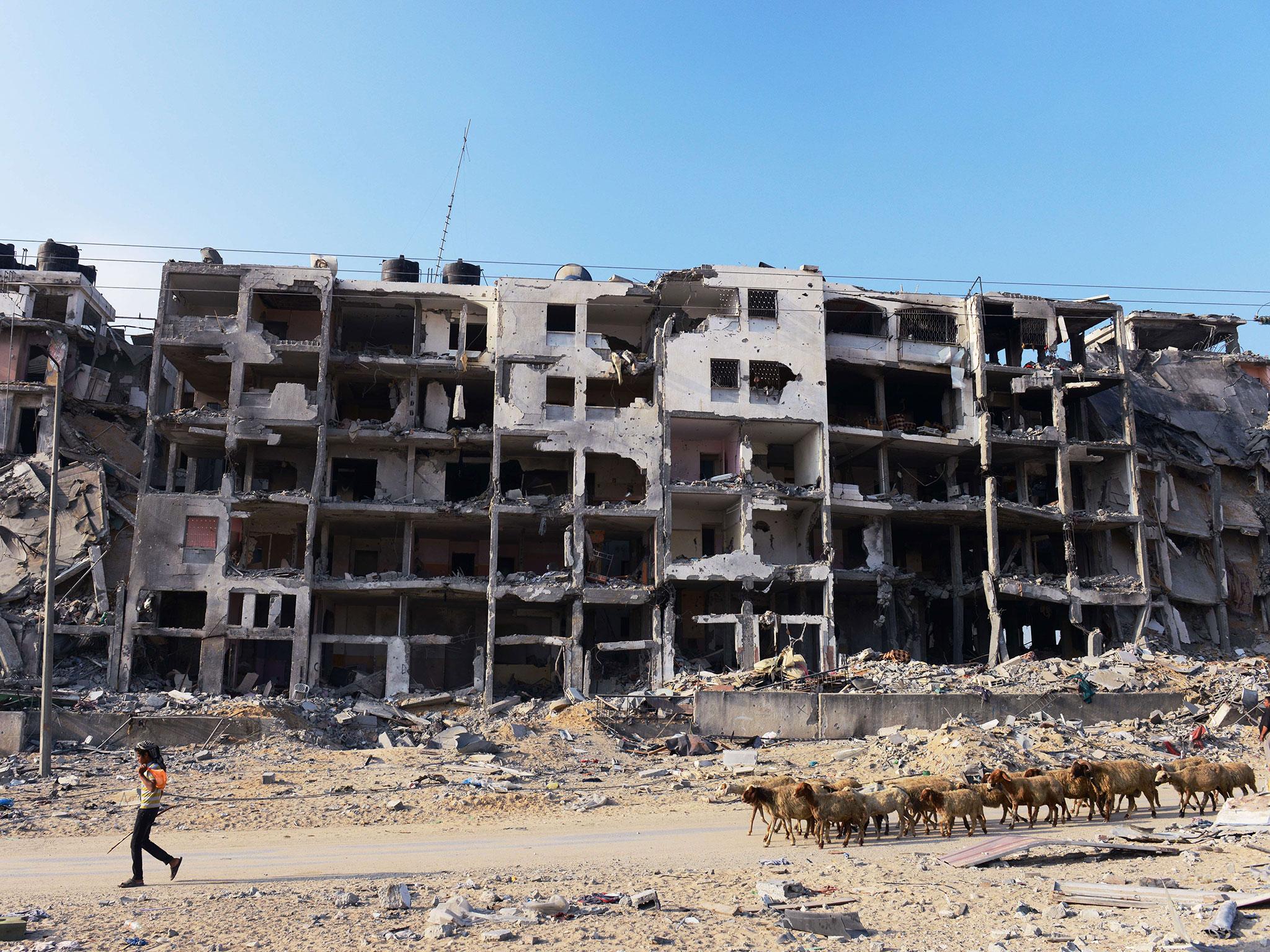 A Palestinian shepherd leads his flock of sheep past an apartment complex that was heavily damaged in fighting between Israel and Hamas during over 4 weeks of fighting in northern Gaza strip a few miles away from the border with Israel on 13 August, 2014