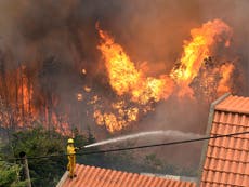 Three people die as major forest fires sweep across Madeira and mainland Portugal