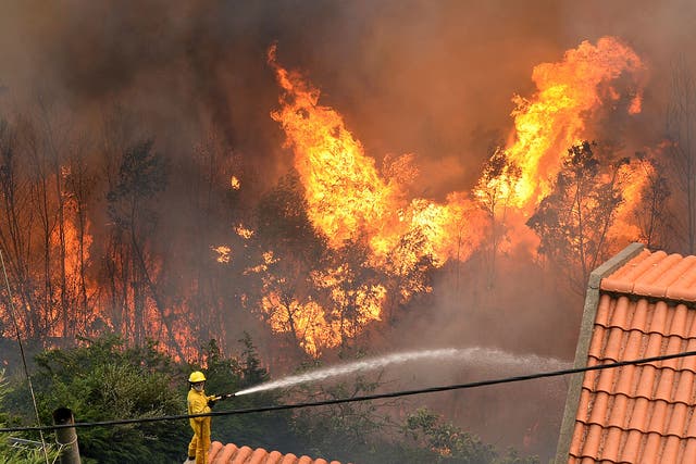 Fires also continued to rage on the Portuguese mainland for the fourth day running, as temperatures peaked at over 35 degrees Celsius