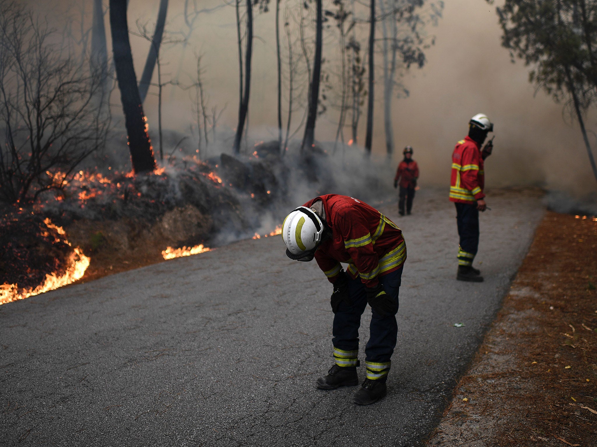 Portugal’s civil protection service said more than 4,000 firefighters were attending to 150 separate blazes which had appeared