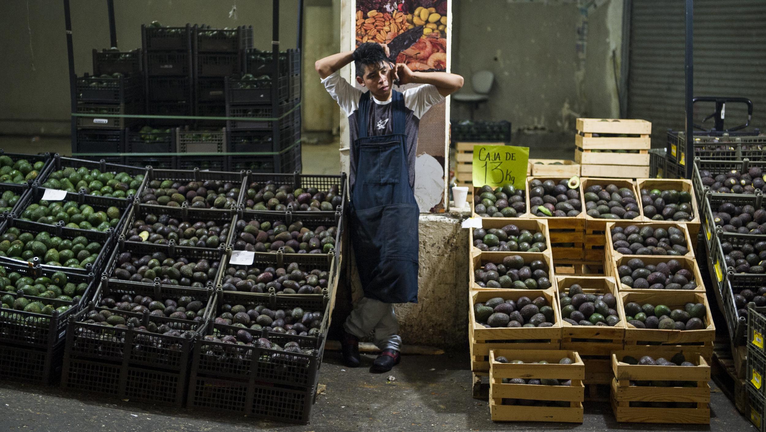 High avocado prices have fueled deforestation in Michoacan state, Mexico