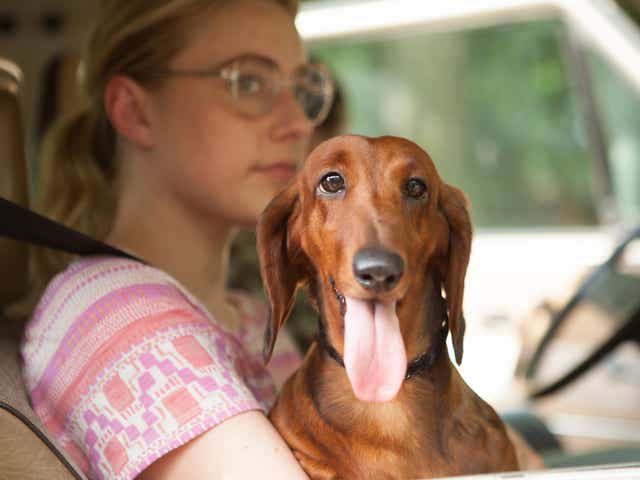 Greta Gerwig plays a veterinary nurse nicknamed ‘Wiener-Dog’ at school