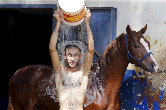 A man pours water over himself while washing a horse in order to cool it down as part of measures taken to ease the effect of a heatwave at the Beirut Hippodrome, Lebanon