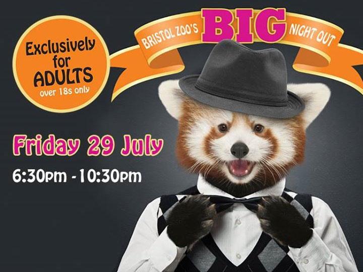 A poster for Bristol Zoo's Big Night Out party event