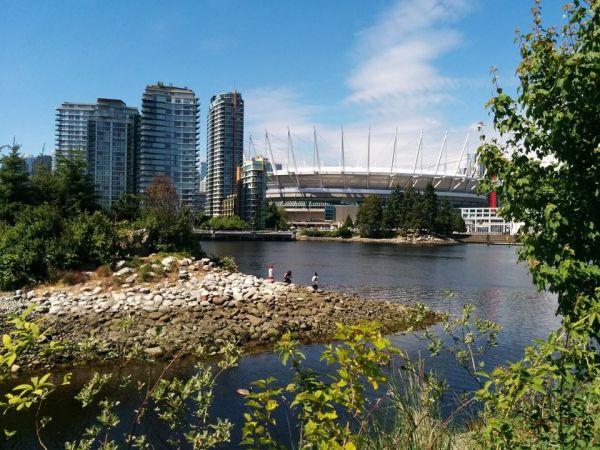 The False Creek area was regenerated for the 2010 Winter Olympics and now offers a wetland park with public art installations