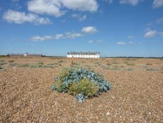 Cool Place of the Day: Shingle Street, Suffolk