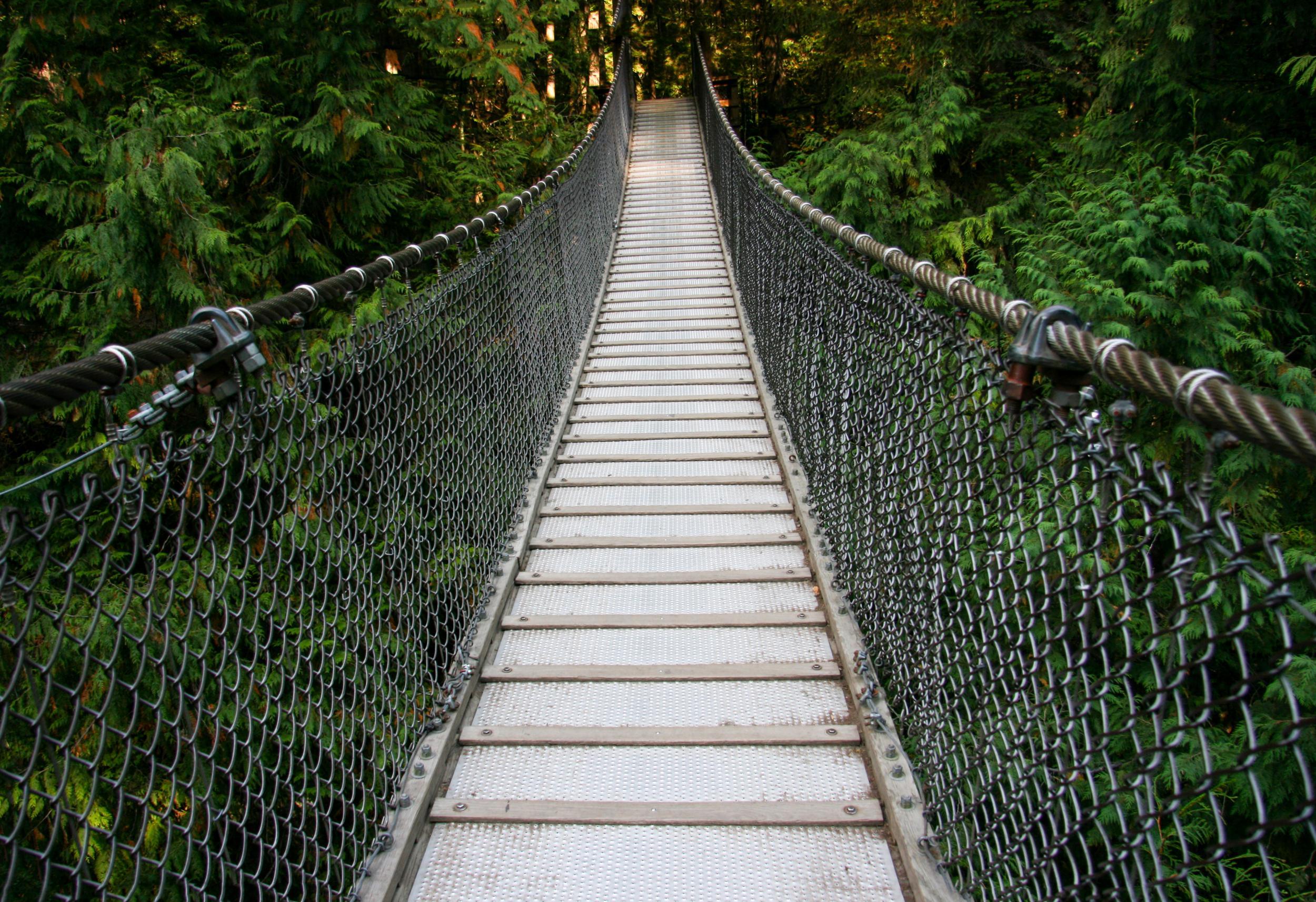 The suspension bridge at Lynn Canyon Park sways 50 metres above the canyon