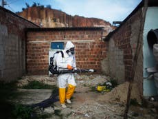 Read more

One in four in Puerto Rico are expected to get the Zika virus