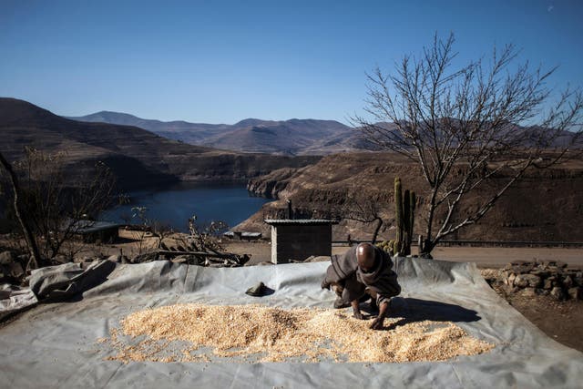 Mohlakoana Molise, 65, sorts through his last yield for the year in front of the controversial Katse dam on July 13, 2016 in Katse.