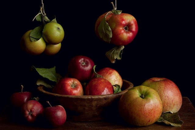 The relationship between humans and apples has a long and complex history