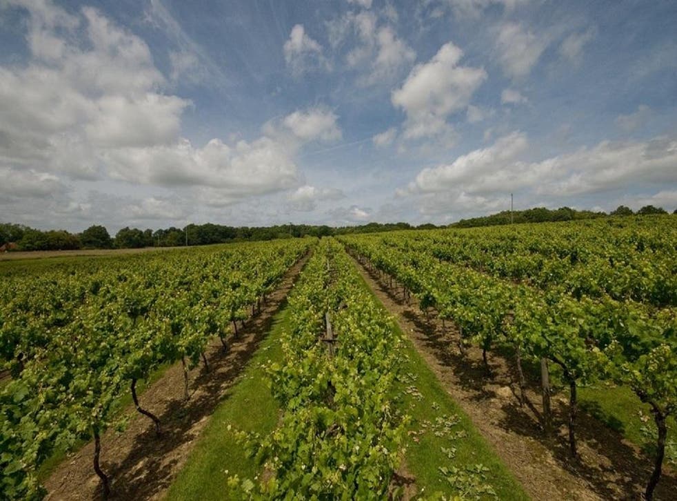 Sales of Chapel Down's English wine have increased as shoppers stock up on alcohol for lockdown